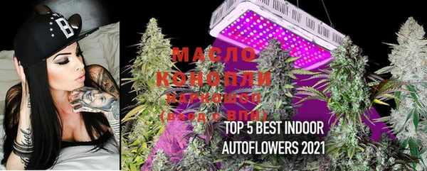 PSILOCYBIN Каменск-Шахтинский