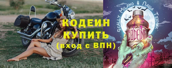 индика Вязники