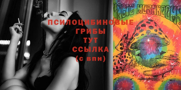 индика Вязники