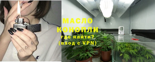 индика Вязники