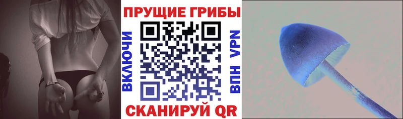 Псилоцибиновые грибы GOLDEN TEACHER  купить наркоту  omg ССЫЛКА  Воскресенск 