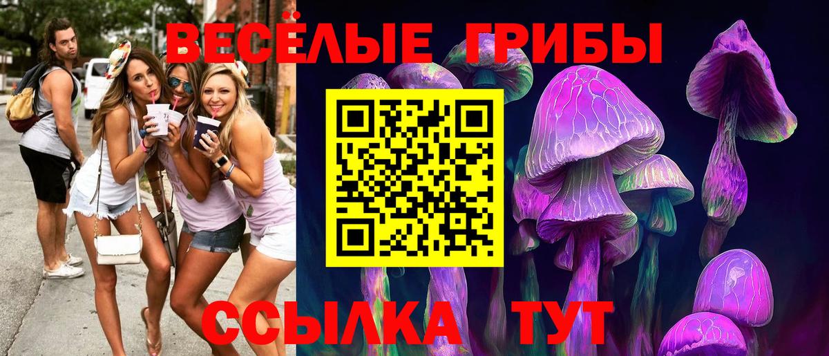 Галлюциногенные грибы GOLDEN TEACHER  Вход с VPN  Воскресенск 