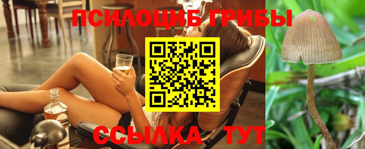 Псилоцибиновые грибы прущие грибы  Псилоцибиновые грибы GOLDEN TEACHER  закладки  Воскресенск 